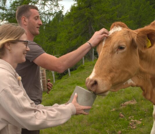 „Bauer sucht Frau“: Drautaler Manuel sorgt für Romantik und Herzklopfen bei seinen Hofdamen
