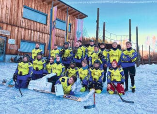 Mauthner Junior Bären