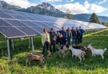 Erster Platz geht nach Kärnten: AAE Naturstrom ist der nachhaltigste Stromanbieter Österreichs
