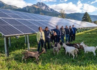 Erster Platz geht nach Kärnten: AAE Naturstrom ist der nachhaltigste Stromanbieter Österreichs