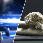 Oberkärntner Betrieb im Fokus der Polizei: Rund 10 Kilogramm Cannabis-Blüten beschlagnahmt