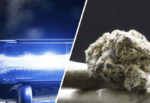 Drogenring im Bezirk Villach-Land zerschlagen: Bis zu 79 Kilogramm Cannabis, Kokain und Heroin verkauft