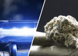 Drogenring im Bezirk Villach-Land zerschlagen: Bis zu 79 Kilogramm Cannabis, Kokain und Heroin verkauft