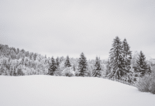 Nächstes Italientief im Anmarsch: So gestaltet sich das Wetter in den kommenden Tagen