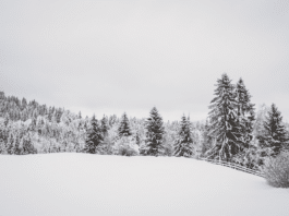 Nächstes Italientief im Anmarsch: So gestaltet sich das Wetter in den kommenden Tagen