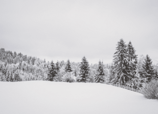 Nächstes Italientief im Anmarsch: So gestaltet sich das Wetter in den kommenden Tagen
