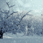 Wintereinbruch in Oberkärnten und Osttirol: Schneeverhältnisse, Lawinengefahr und Verkehrseinschränkungen im Überblick