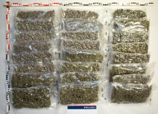 Cannabisfund bei Kontrolle am Karawankentunnel