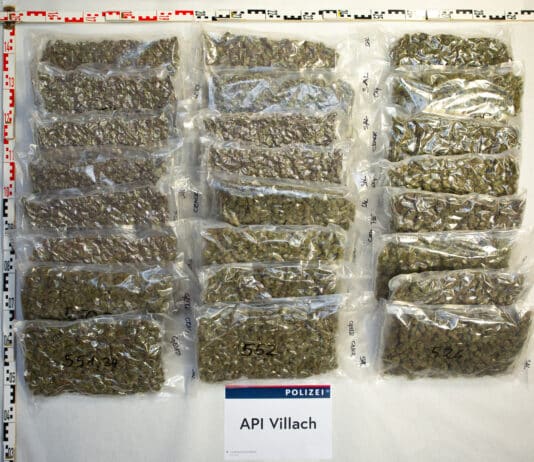 Cannabisfund bei Kontrolle am Karawankentunnel