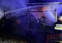 Geräteschuppen in Vollbrand: Aufmerksamer Nachbar alarmiert Einsatzkräfte