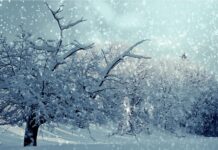 Italientief bringt Schnee und Glatteis nach Kärnten und Osttirol