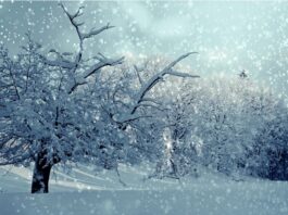 Italientief bringt Schnee und Glatteis nach Kärnten und Osttirol