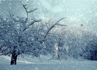 Aktualisierte Prognose: Niederschläge verlagern sich in die Nacht auf Donnerstag