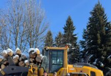 Christbaumaktion mit Herz: 3.055 Euro für den guten Zweck!