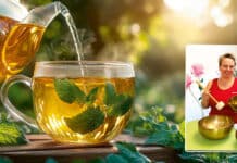 „Heilfastenwoche“ im Hotel Vital: Heilfasten nach Buchinger