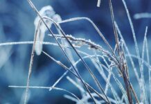 Kältewelle erreicht Höhepunkt: Wie geht es mit den frostigen Temperaturen weiter?