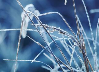 Kältewelle erreicht Höhepunkt: Wie geht es mit den frostigen Temperaturen weiter?