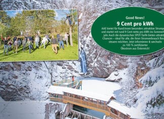 AAE Naturstrom: Nachhaltigster Stromanbieter