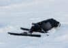Osttirol: Skifahrerin bei Unfall schwer verletzt – Polizei sucht Zeugen