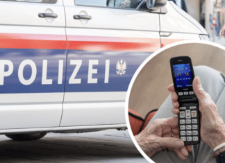 Falscher Polizist am Telefon: 81-Jährige durchschaut Betrugsversuch