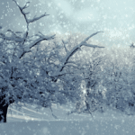 Italientief kommt: Wieder Neuschnee bis in tiefe Lagen möglich?