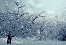 Italientief kommt: Wieder Neuschnee bis in tiefe Lagen möglich?