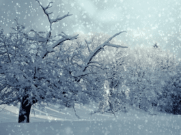 Italientief kommt: Wieder Neuschnee bis in tiefe Lagen möglich?