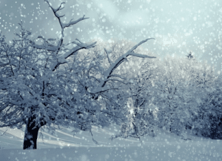 Italientief kommt: Wieder Neuschnee bis in tiefe Lagen möglich?