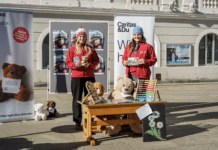 Der verlorene Bär: youngCaritas macht auf Kinder in Not im Kosovo aufmerksam