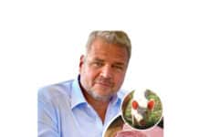 Schweinefleisch-Preisentwicklung: Team Kärnten/Köfer fordert verpflichtende Herkunftskennzeichnung