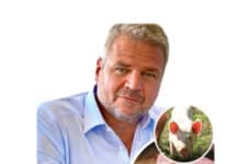 Schweinefleisch-Preisentwicklung: Team Kärnten/Köfer fordert verpflichtende Herkunftskennzeichnung