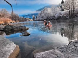 Sie trotzen der Kälte