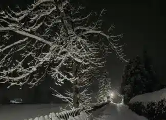 Italientief brachte extreme Schneemengen