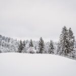 87 Zentimeter: Wo fiel in Kärnten am meisten Neuschnee?