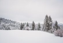 87 Zentimeter: Wo fiel in Kärnten am meisten Neuschnee?