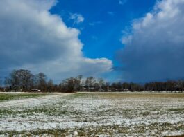 Höchstwerte bis 16 Grad – die neue Woche weckt erste Frühlingsgefühle