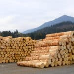 Maschinist/in (m/w/d) – Verstärken Sie unser Team bei Hasslacher Hermagor GmbH!