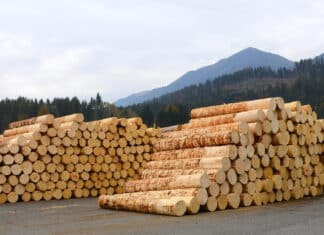 Maschinist/in (m/w/d) – Verstärken Sie unser Team bei Hasslacher Hermagor GmbH!