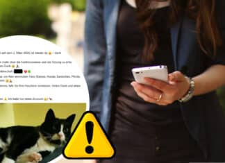 Haustier verschwunden? So nutzen Kriminelle die Verzweiflung der Besitzer aus