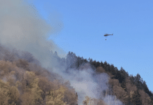 Flammenmeer am Faaker See: Rund 300 Einsatzkräfte bei Löscharbeiten