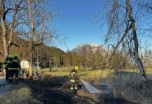 Wiesenbrand in Bodenhof fordert Feuerwehreinsatz