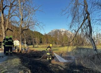 Wiesenbrand in Bodenhof fordert Feuerwehreinsatz