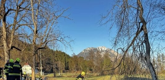 Wiesenbrand in Bodenhof fordert Feuerwehreinsatz