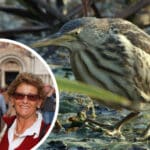 Mit Gailtaler Wurzeln: Ehepaar Zebedin zeigt neue Natur-Doku über das Bleistätter Moor