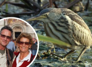 Mit Gailtaler Wurzeln: Ehepaar Zebedin zeigt neue Natur-Doku über das Bleistätter Moor