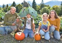 Vitamine im Abo – das Gemüsekisterl kommt!