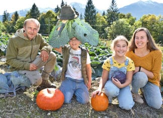 Vitamine im Abo – das Gemüsekisterl kommt!