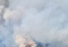 „60 bis 70 Hektar“: Waldbrand im Lesachtal verschlimmert sich – Bezirkskrisenstab aktiviert