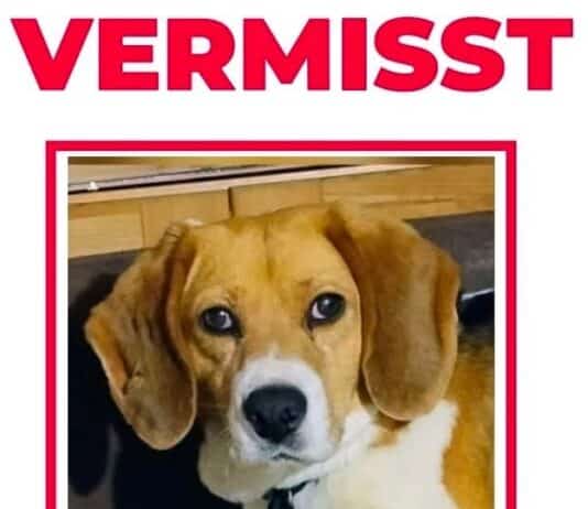 Vermisster Angsthund – Bitte um Mithilfe