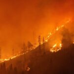 Lesachtal-Waldbrand: Fahrlässiger Umgang mit Rauchwaren als wahrscheinliche Ursache